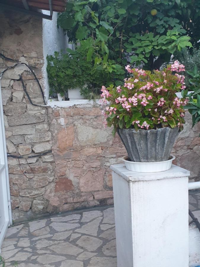 منزل الضيف ساراندا  في Rosemary House المظهر الخارجي الصورة