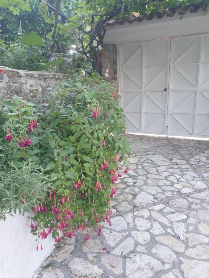 منزل الضيف ساراندا  في Rosemary House المظهر الخارجي الصورة